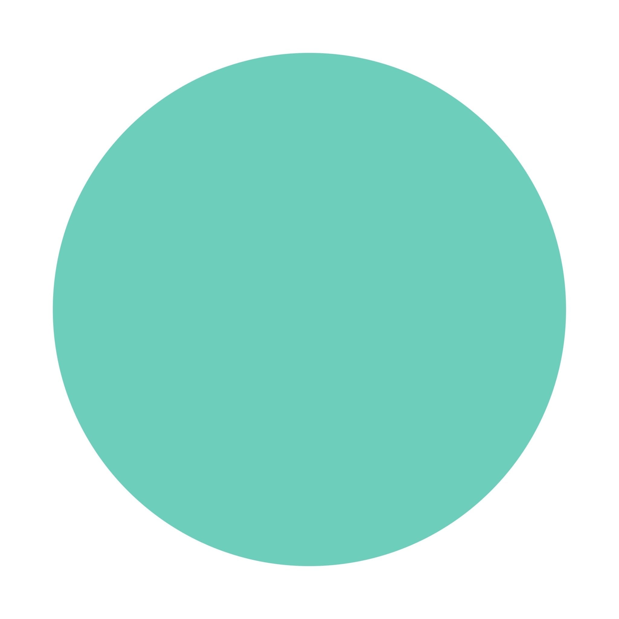 Acrylfarbe Mint | 750ml | Made in Germany - Craft Colors